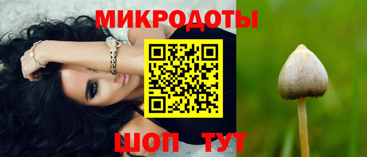 Галлюциногенные грибы Cubensis Минеральные Воды
